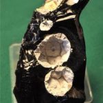 Cristobalita en obsidiana