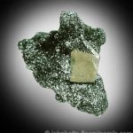 Matriz de clorita brillante con apatita