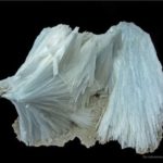 celestina azul fibrosa