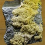 Alambres de oro en matriz