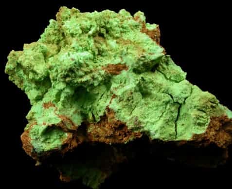 gaspeita verde brillante