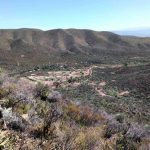 cerro de oro-alamos