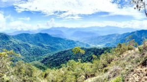 Warintza de Solaris Resource