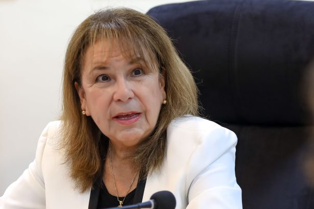 Nahil Hirsh, presidenta de Women in Mining Perú (WIM Perú)
